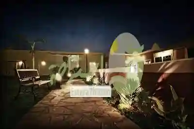 زهرة الياسمين