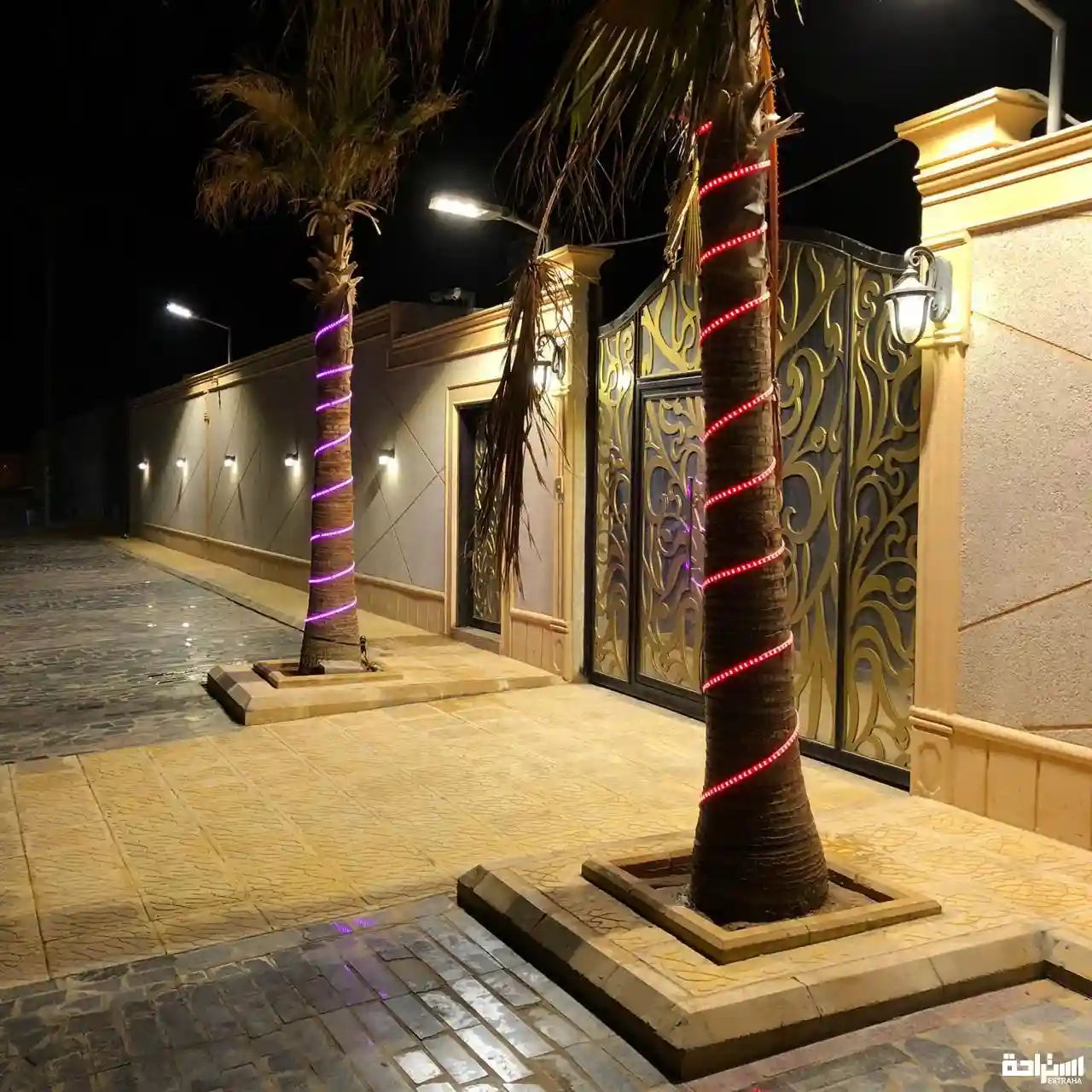 شاليه النرجسيه